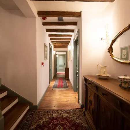 Ebel Pool & 5* קורצ'ה