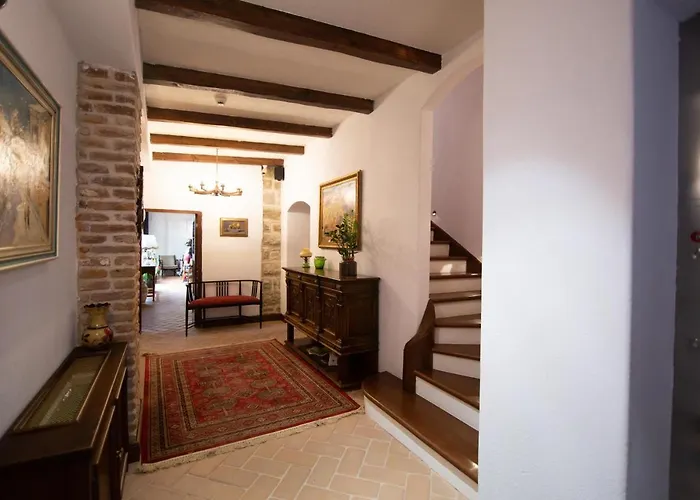 Ebel Pool & קורצ'ה