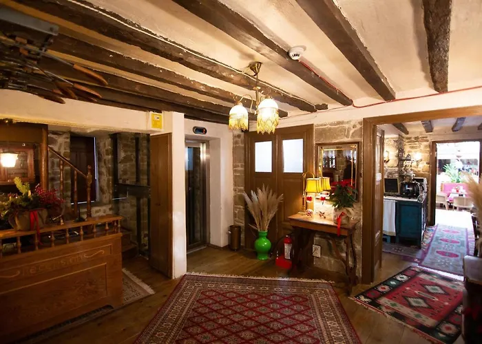 Ebel Pool & קורצ'ה